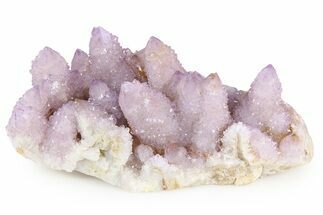 Spectacular Cactus Amethyst Crystal Cluster - South Africa #382317