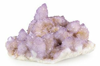 Sparkling Cactus Amethyst Crystal Cluster - South Africa #382319