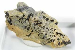 Moonstone For Sale