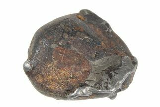 Sericho Pallasite Meteorite ( g) Metal Skeleton #383194