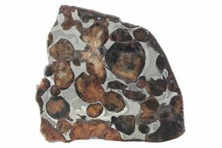 Sericho Pallasite Meteorite ( g) Slice - Kenya #382945
