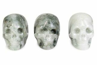 Polished Tree Agate Skulls #383353