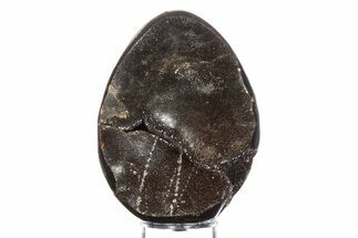 Septarian Dragon Egg Geode - Sparkly Black Crystals #383842