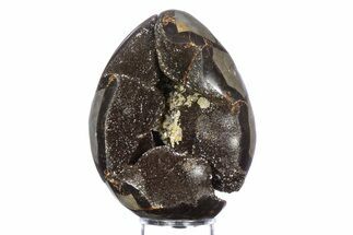 Septarian Dragon Egg Geode - Sparkly Black Crystals #383843