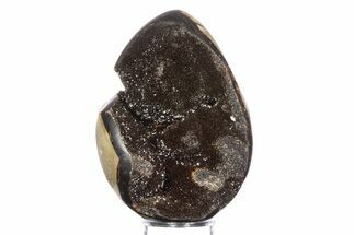 Septarian Dragon Egg Geode - Sparkly Black Crystals #383846
