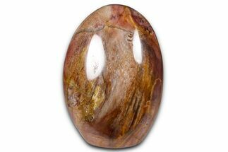 Freestanding, Polished Petrified Wood - Madagascar #384368