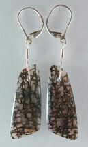 Black Spiderweb Dinosaur Gembone Earrings #22529