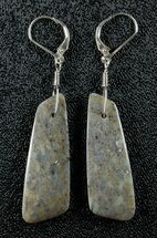 Green/Brown Spiderweb Dinosaur Gembone Earrings #22532