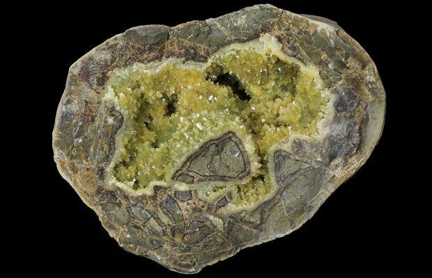 8 Yellow Crystal Filled Septarian Geode Utah For Sale Fossilera Com